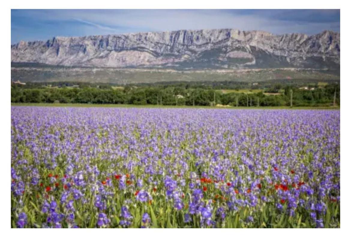 Aix-En-Provence, Cosy Studio Proche Toutes Commodites, Linges Fournis Buitenkant foto